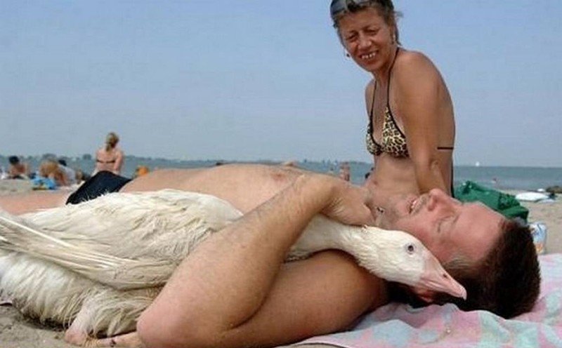 Отсосала у мужа на пляже (25 фото)