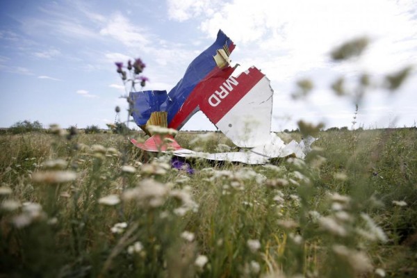 A part of the wreckage of Malaysia Airlines Flight MH17 is seen at its crash site, near the village of Hrabove, Donetsk region